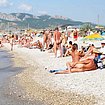 adult sex and nudist at beach